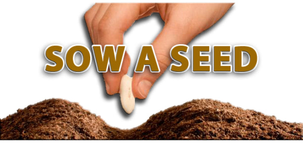 Sow a seed